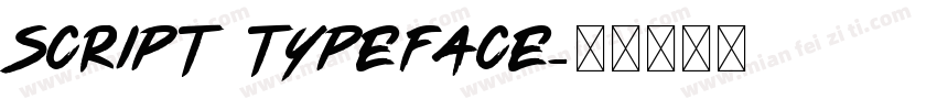 Script Typeface字体转换